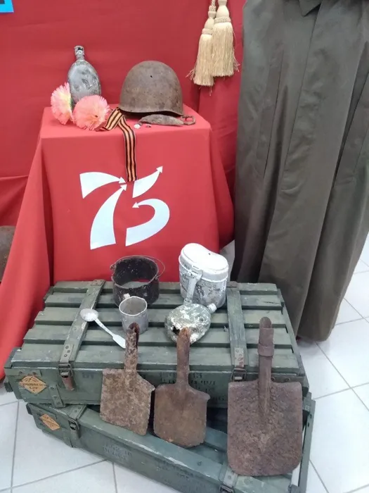 43iBH59WIKU