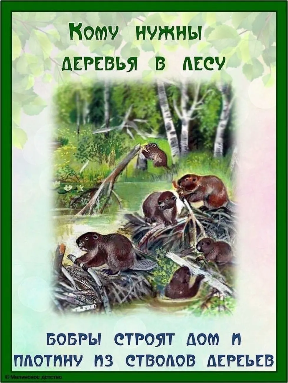 aX9R-ClewIf6Xze41I7RFDts4mnxroooPylCZDZGba_nBKyEFN3PJhCNRqJMnqswSq__gKcdSQdp8q65_hMBOiIt